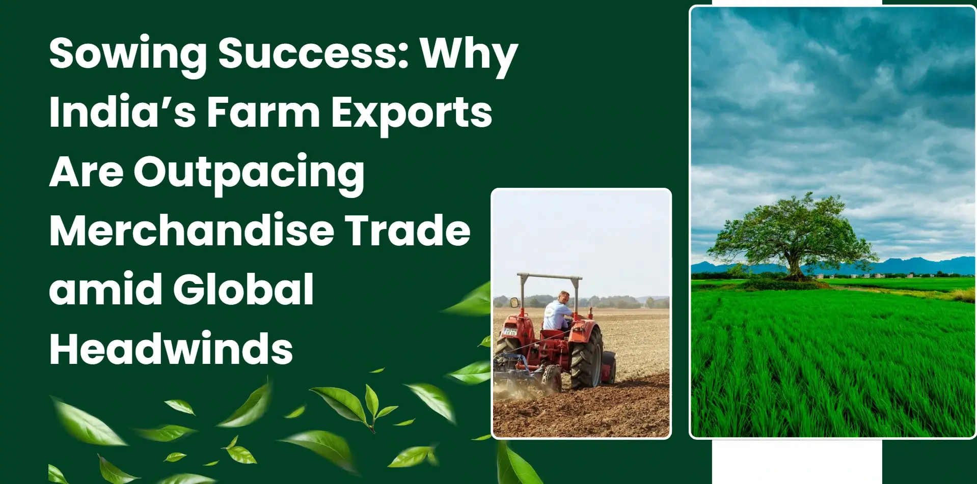 showing success why indias