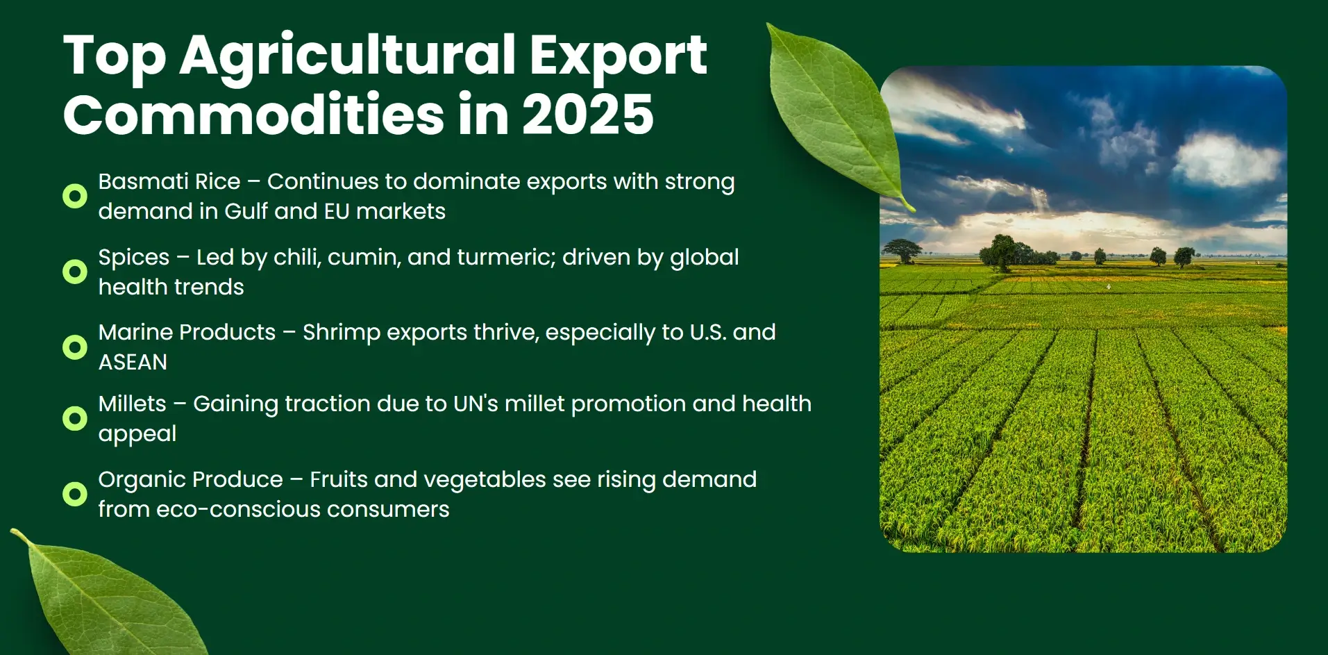 top agricultural export