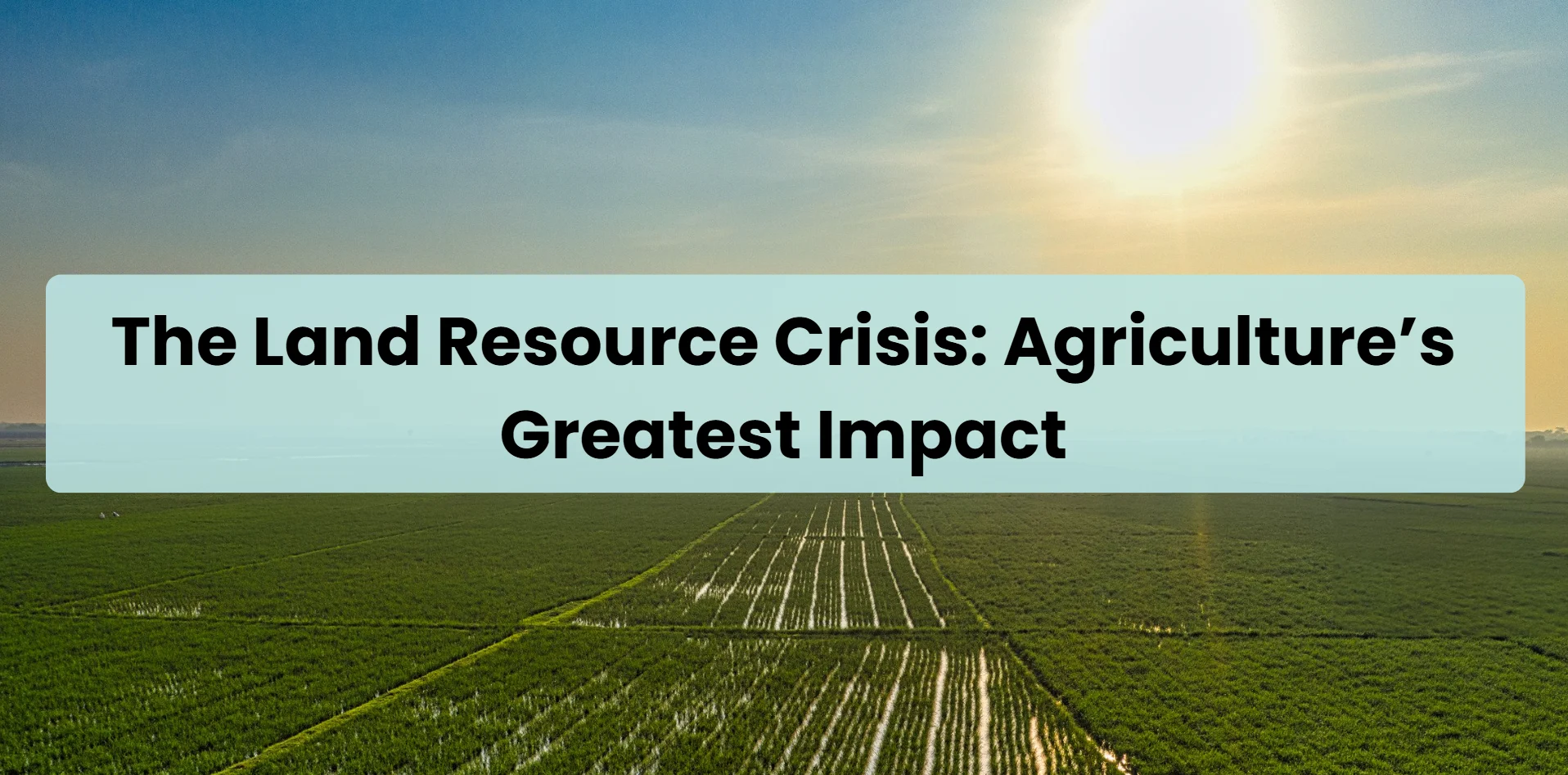agriculture-greatest-impact