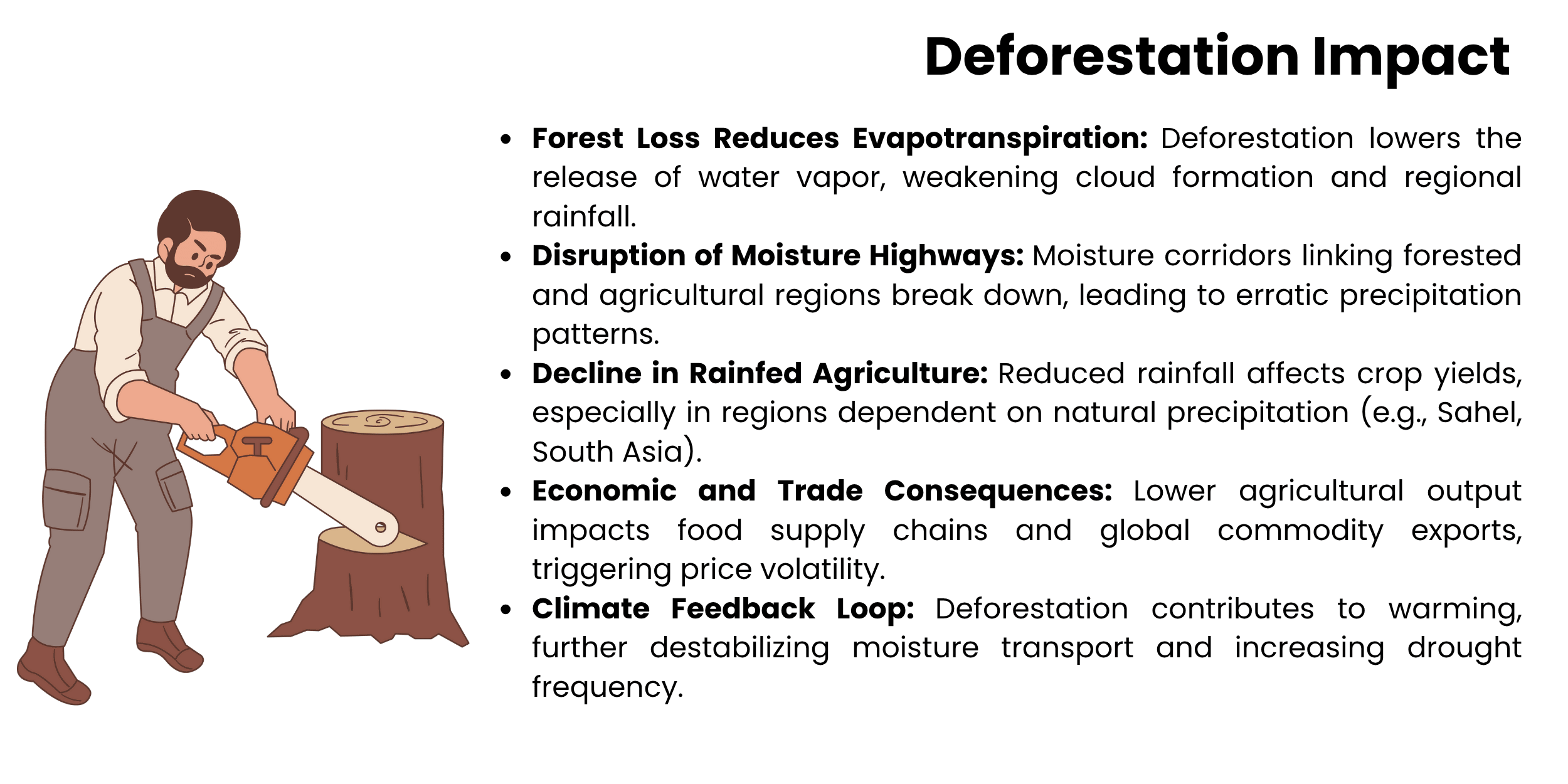 deforestation impact