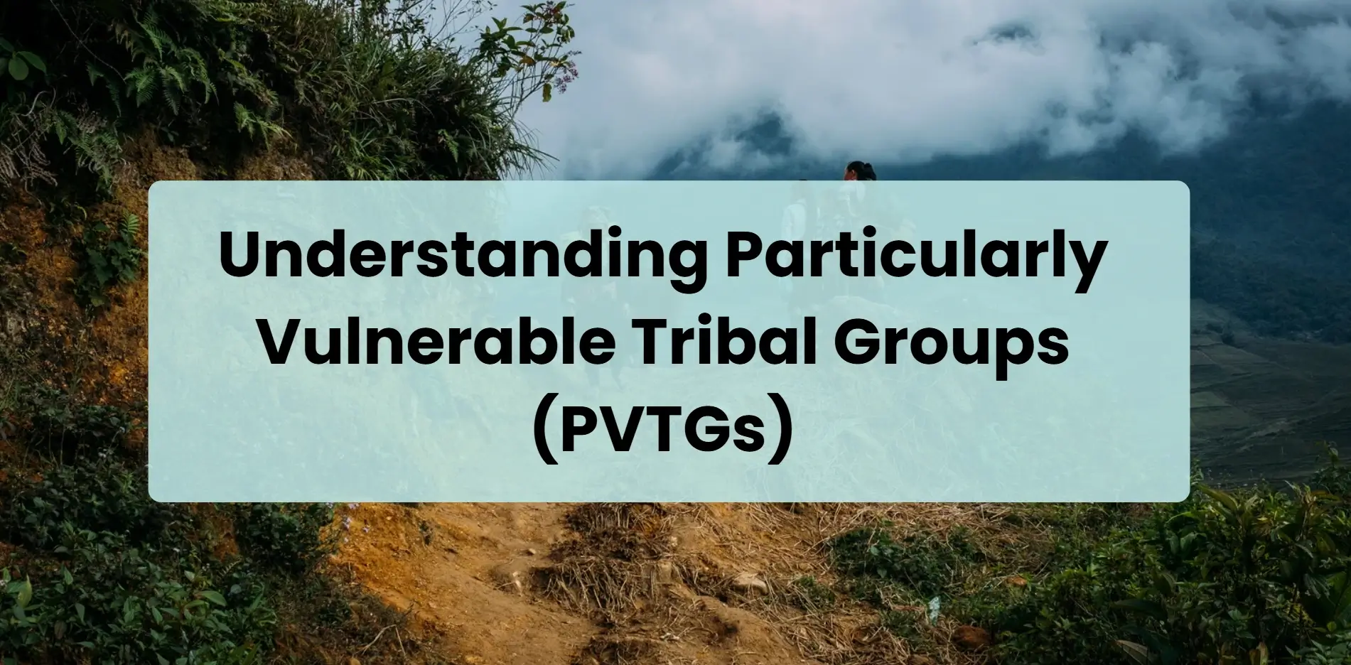understanding particularly
