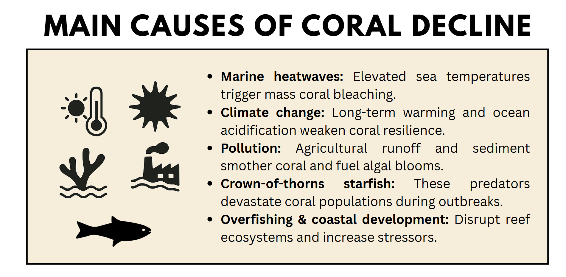 main causes of coral decline