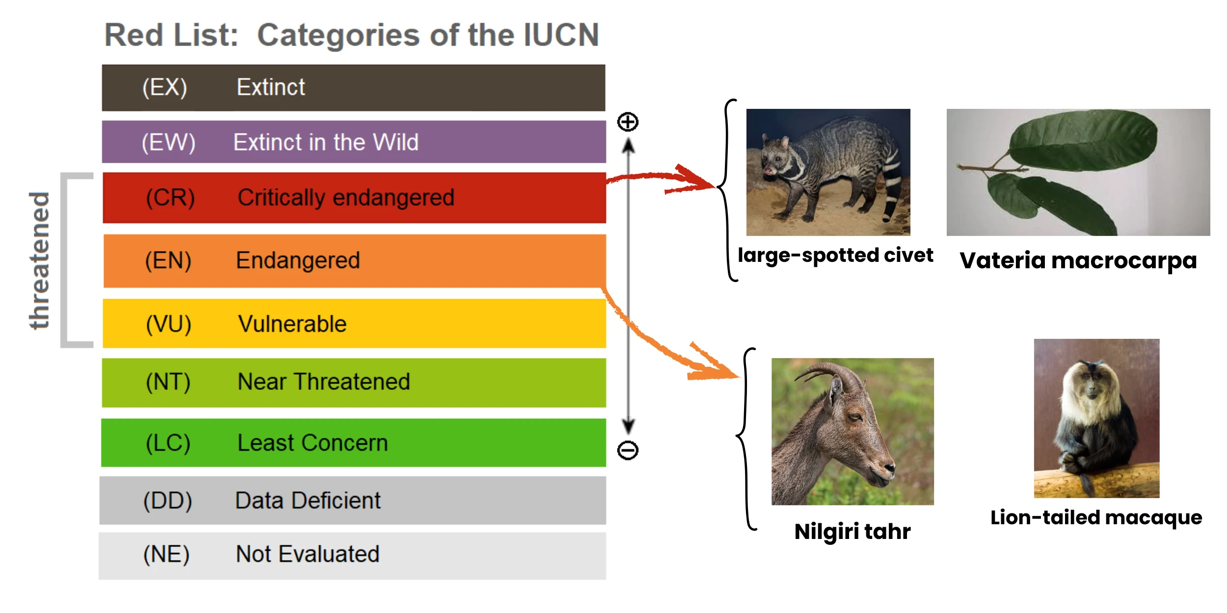 categories-iucn