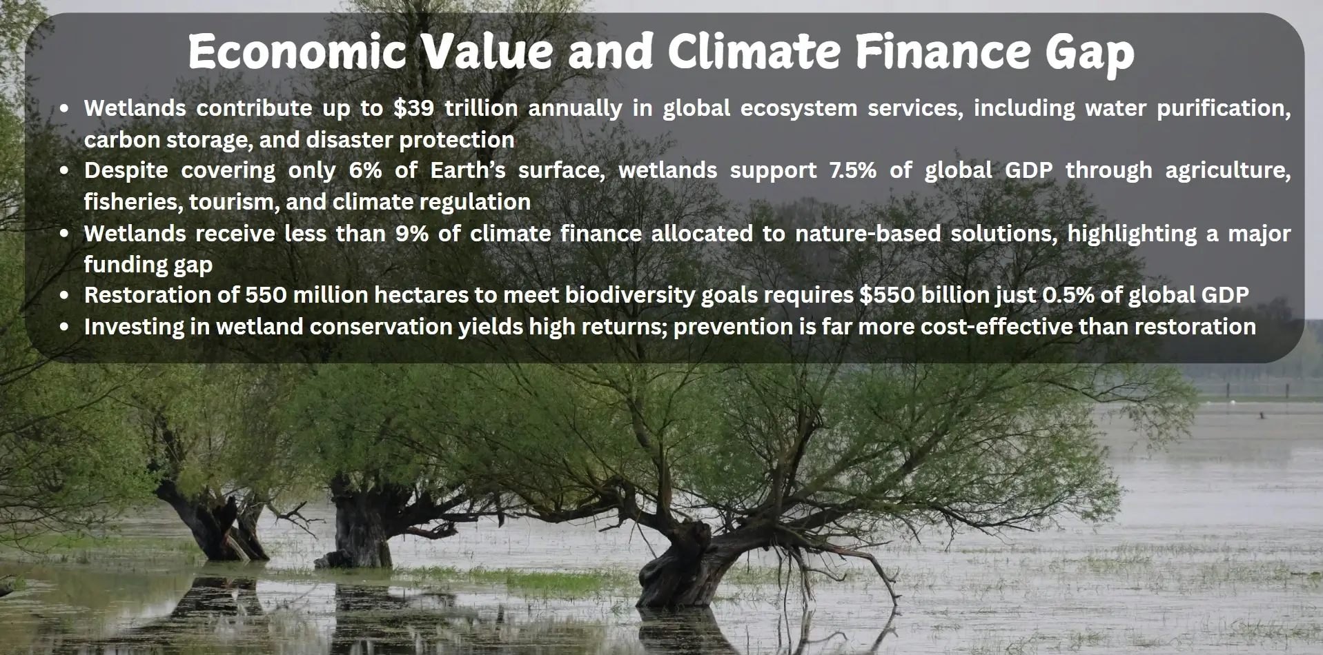 economic value and