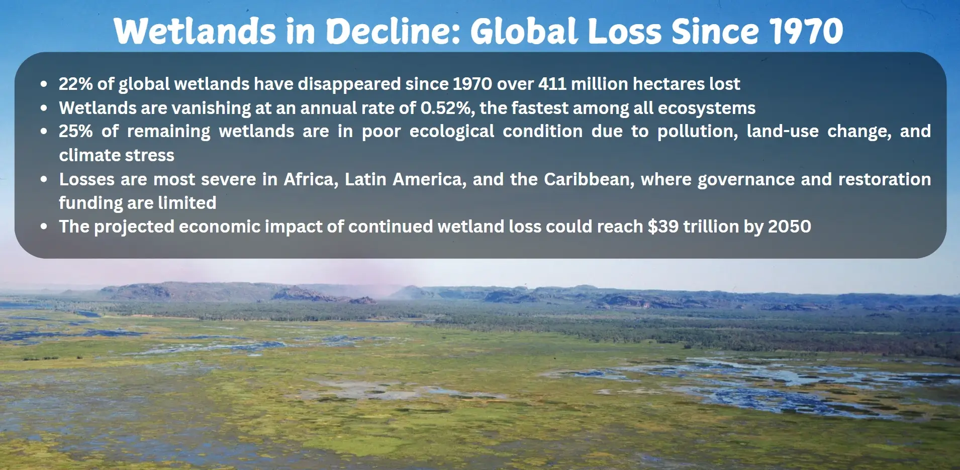 wetlands in decline