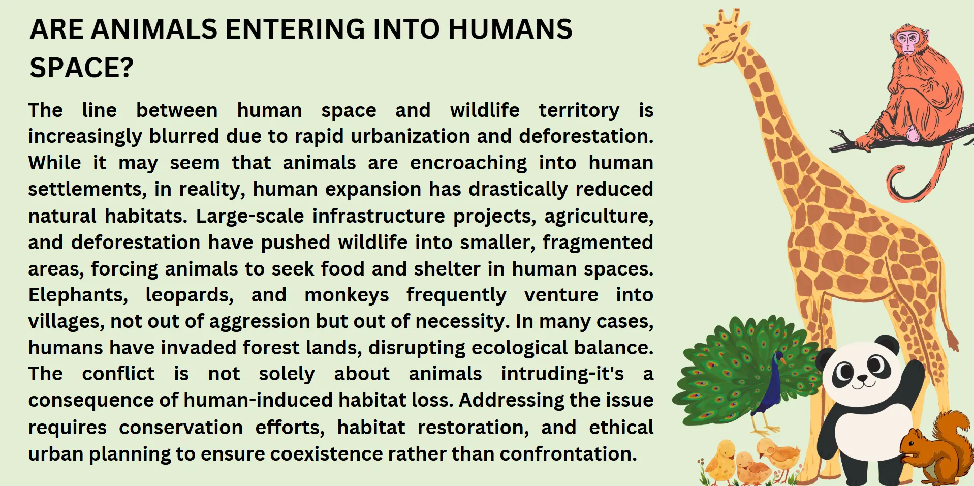 animalks-enter-into-human-space